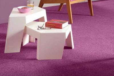 mocheta Suceava Botosani